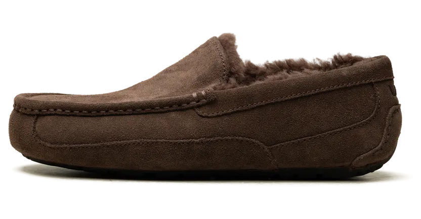 Ugg Ascot 1101110-DDC