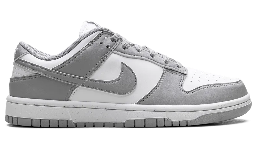 nike-dunk DD1873-113
