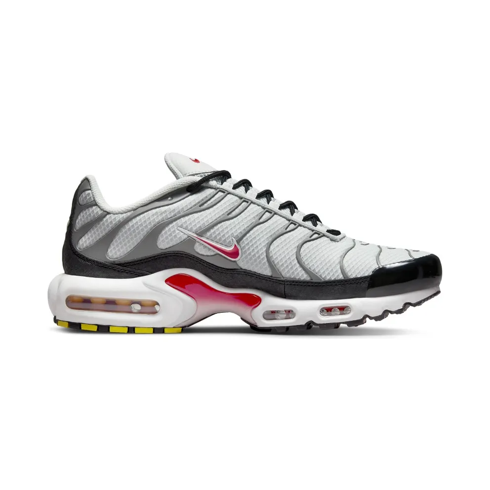 Nike Air Max Plus Grey (DM0032-002)