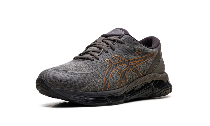 Asics GEL-Quantum 360 VIII Gore-Tex “Dime – Brown” (1203A651-200)