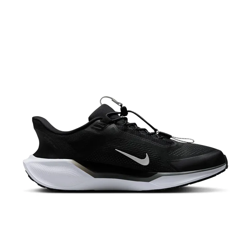 Nike Air Zoom Pegasus 41 EasyOn Black Anthracite Photon Dust White (FQ7837-002)
