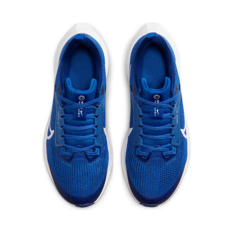 nike-air-zoom DX2498-400