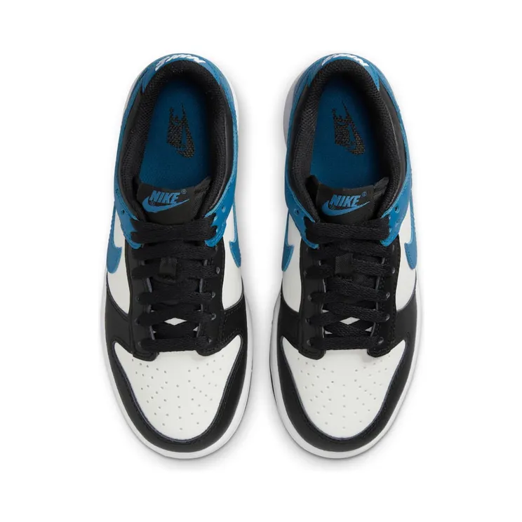 nike-dunk DH9765-104