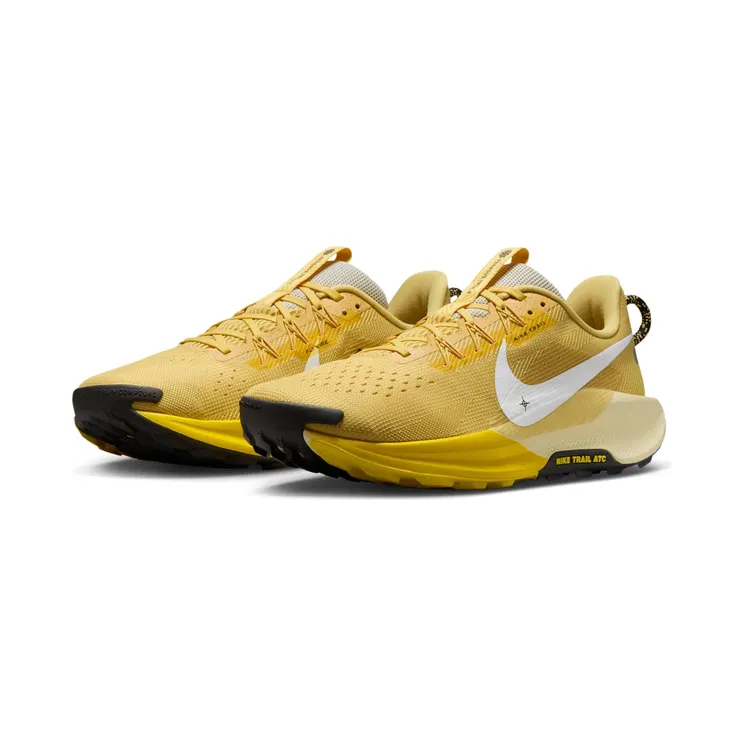 nike-air-pegasus DV3864-700