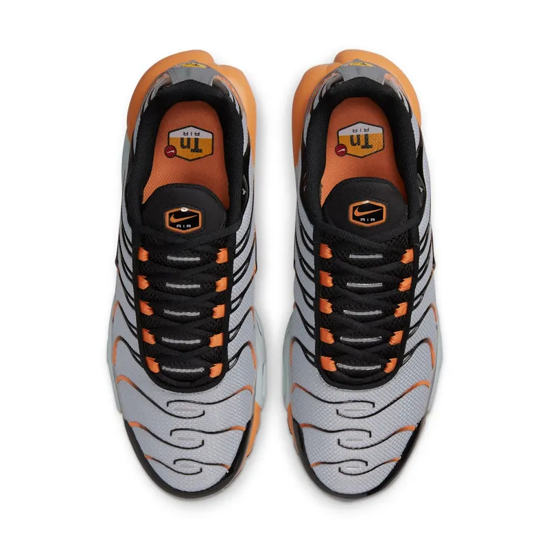 Nike Air Max Plus Grey (DM0032-001)