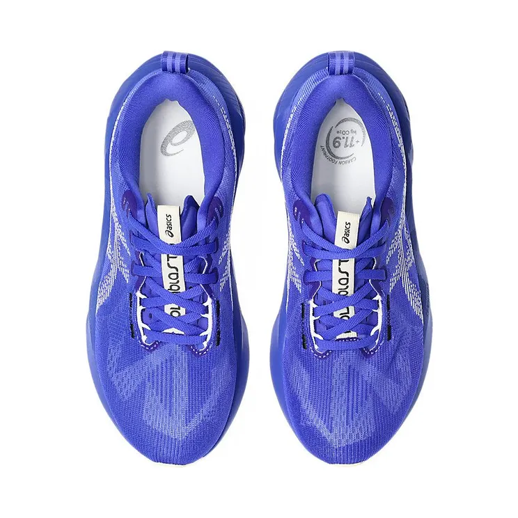 asics-novablast 1012B765-403