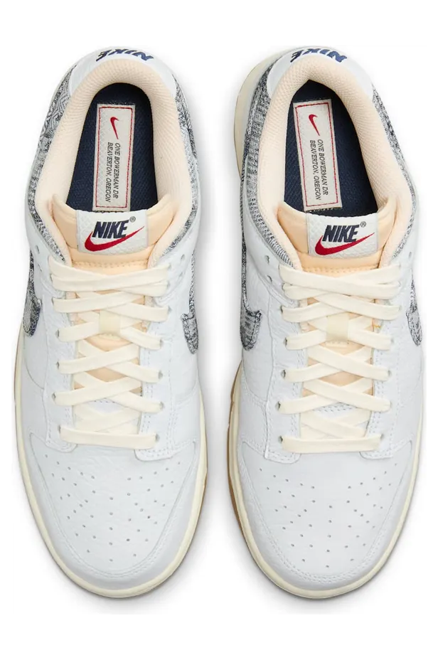 nike-dunk FN6881-100