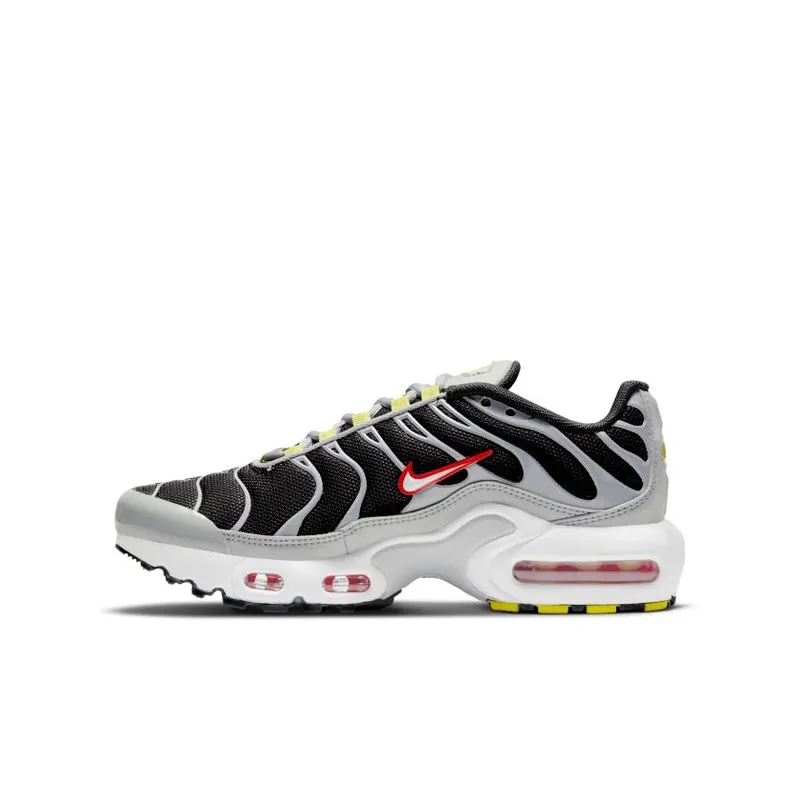 Nike Air Max Plus Dark Smoke Grey (GS) (CD0609-013)