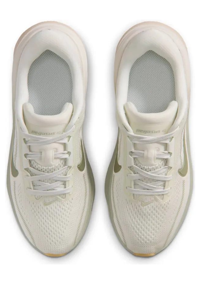 nike-air-pegasus IH2306-001