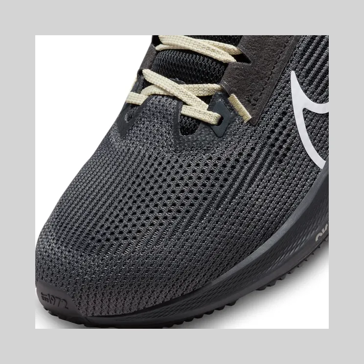 nike-team DZ5996-001