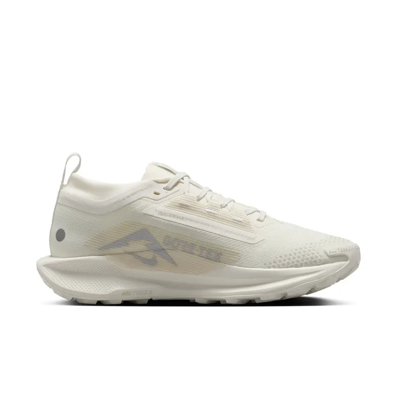 Women's Shoes Nike Pegasus 5 Gore-tex FQ0912-102