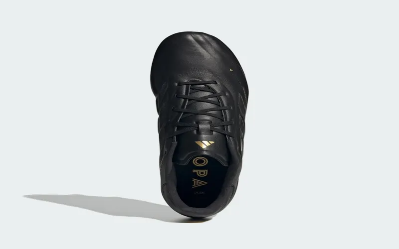 adidas Copa Pure 2 Elite FG Core Black Carbon Gold Metallic (IG6404)