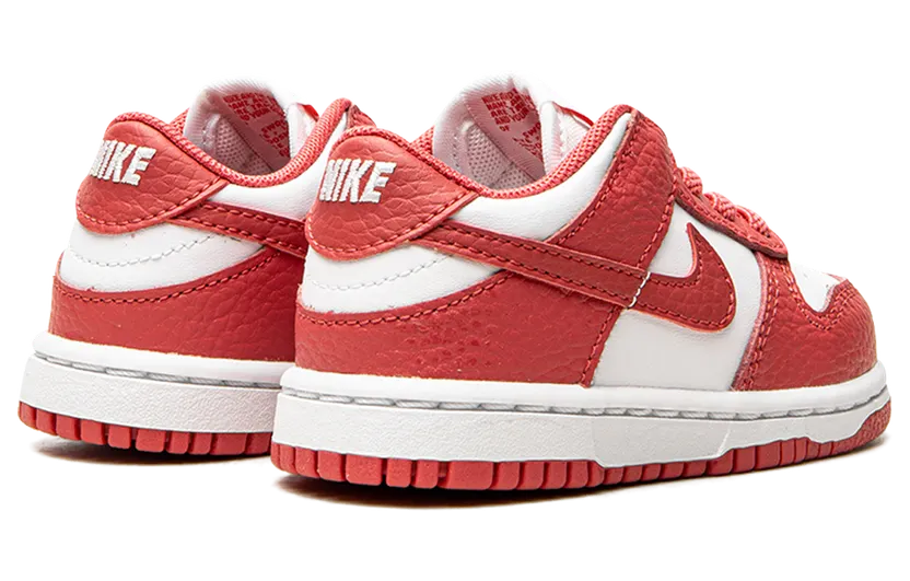 nike-dunk DC9562-111