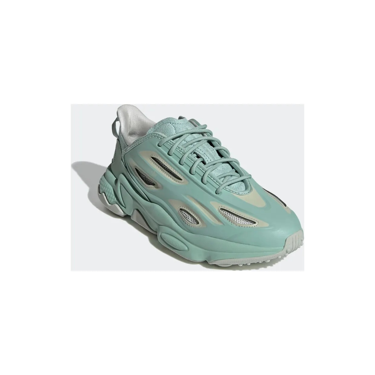 adidas-x-raf-simons-ozweego GX2429