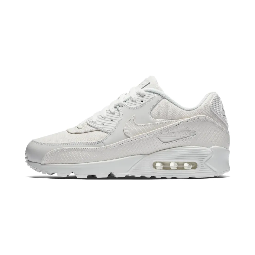 Nike Air Max 90 Summit White (700155-101)