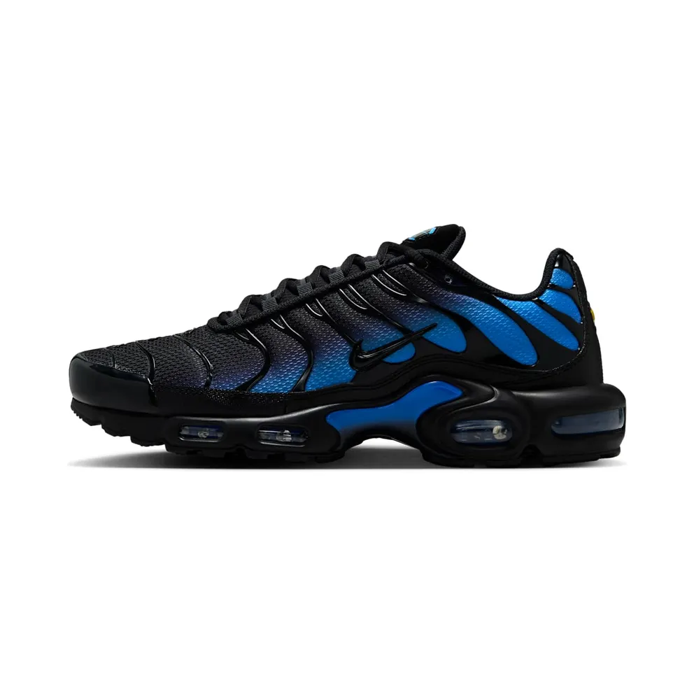 Nike Air Max Plus Black Blue Crystal (DM0032-041)