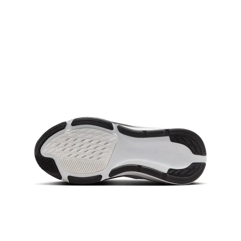 Nike Pegasus Summit White/Metallic Silver/Photon Dust/White (IR4146-100)