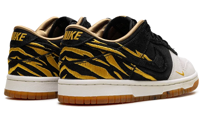 nike-dunk DQ5351-001