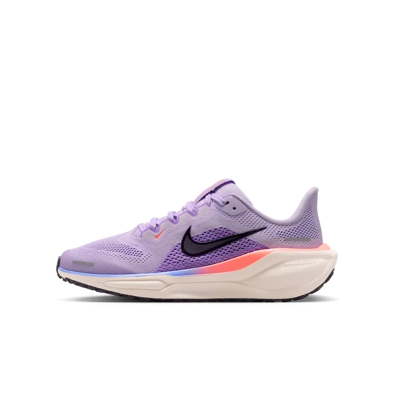 Nike Pegasus Violet Mist/Bright Violet/Sapphire/Purple Dynasty (FN5041-502)