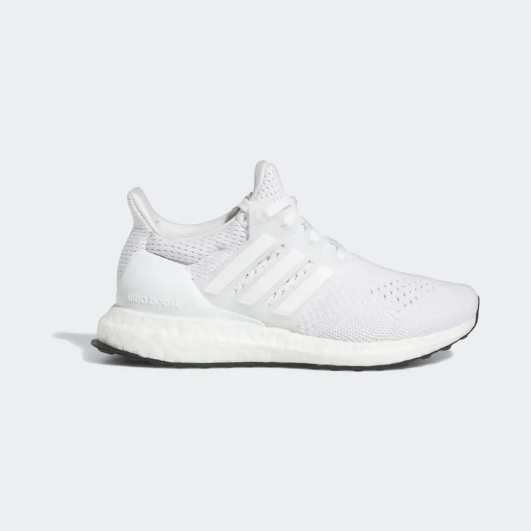 adidas Ultraboost 1.0 Cloud White / Cloud White / Cloud White (HQ2163)