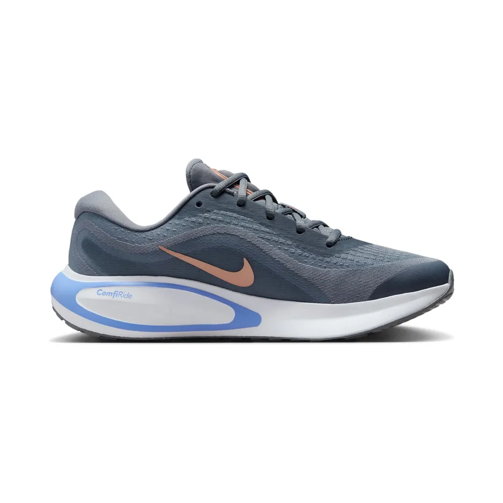 Nike Journey Run Cool Grey White Royal Pulse Metallic Red Bronze (FJ7765-004)