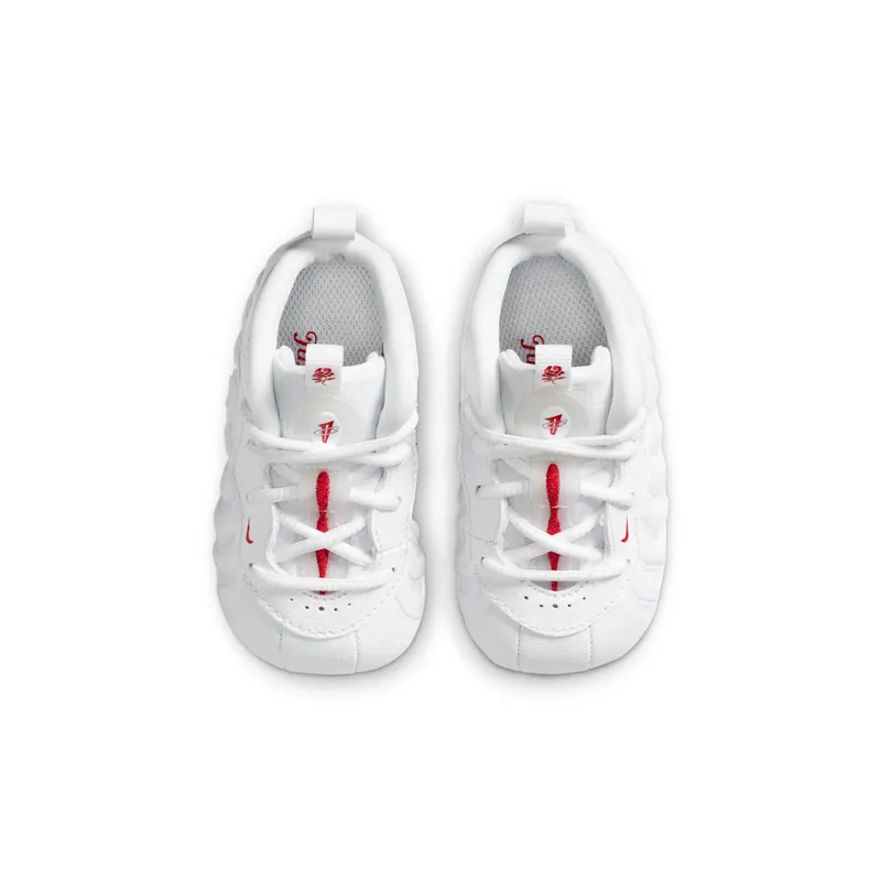 Nike Air Foamposite One Takeout Bag (I)