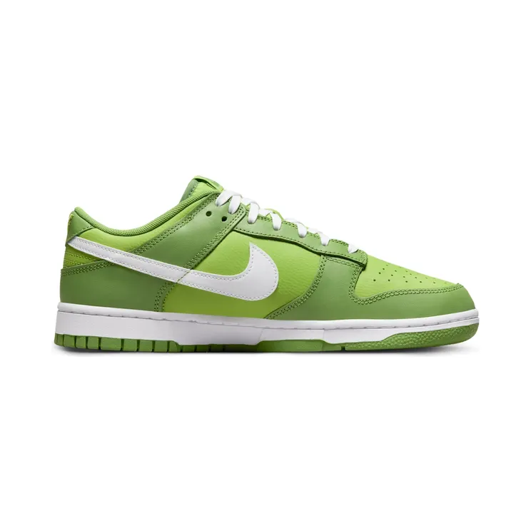 nike-dunk DJ6188-300