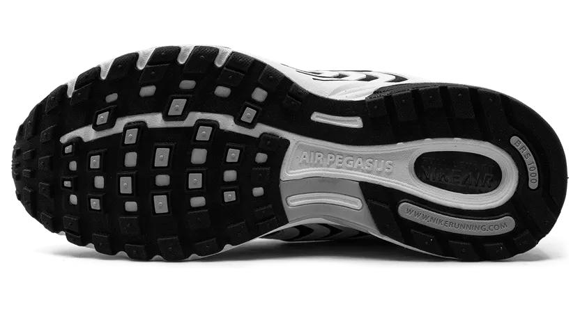 nike-air-pegasus FJ1909-100