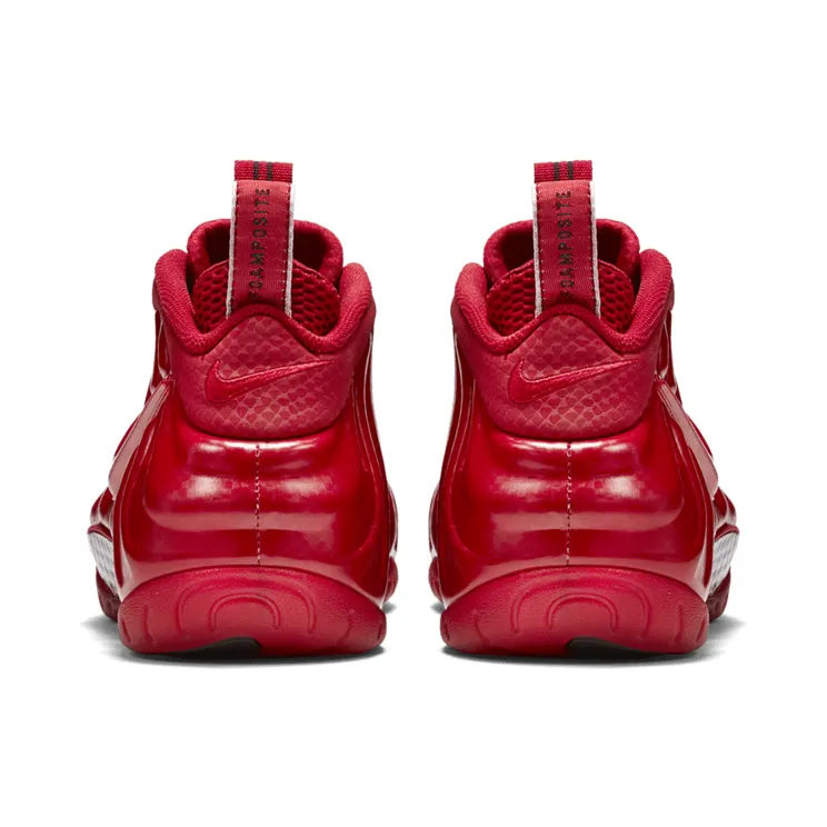 nike-air-foamposite 624041-603