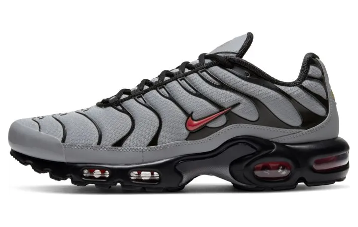 Nike Air Max Plus Grijs (DC1936-002)