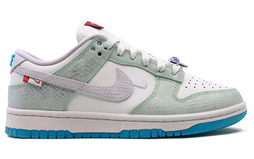 nike-dunk FZ5065-111