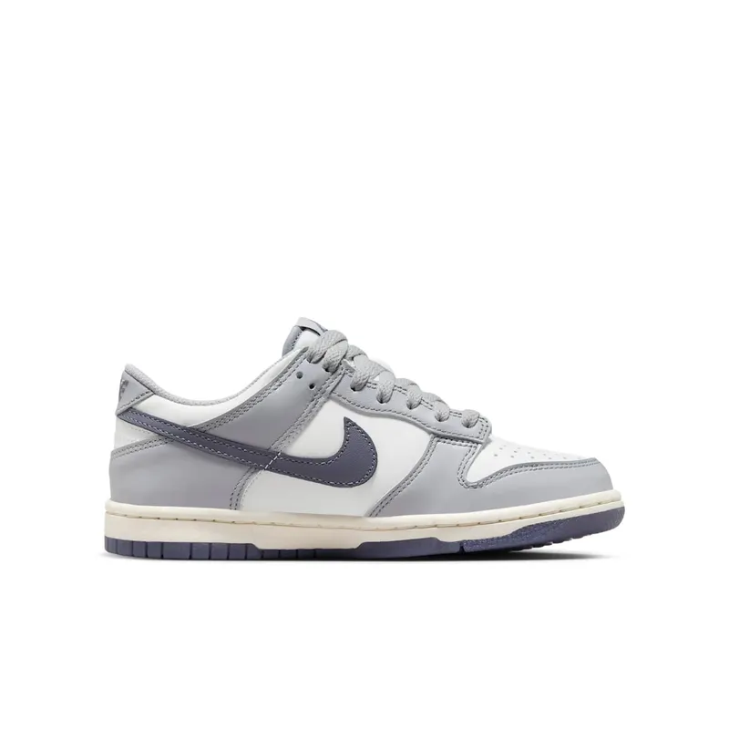 Nike Dunk Low SE Light Carbon Grey (GS) (FB9109-101)