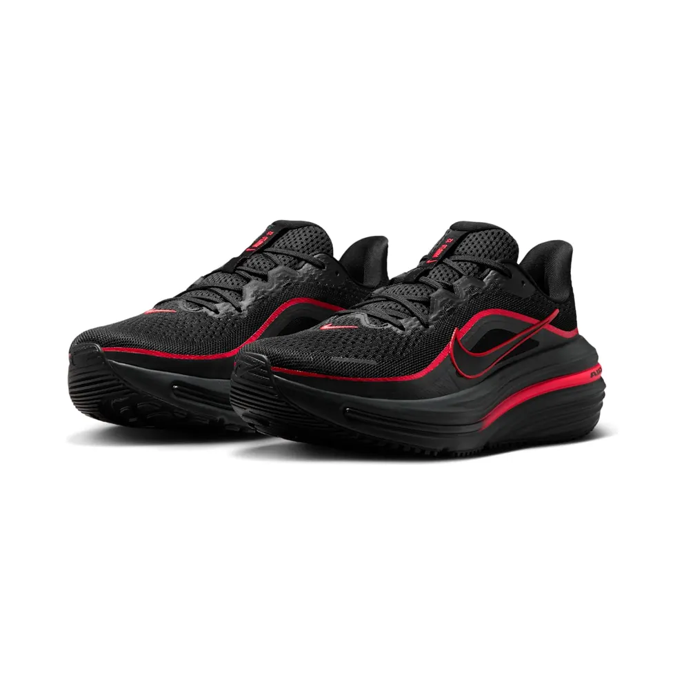 Nike Winflo 12 Black (HV9272-005)