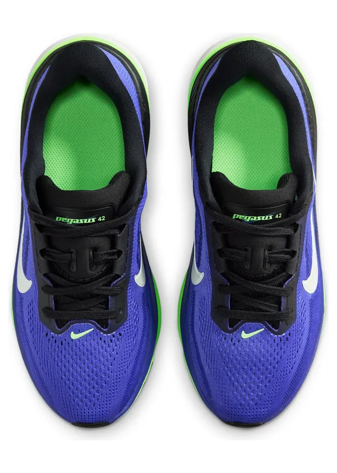 nike-air-pegasus IH2306-501