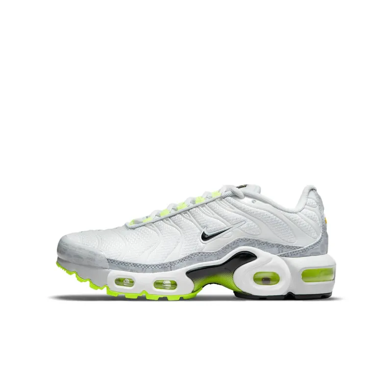 Nike Air Max Plus Grey (CD0609-015)