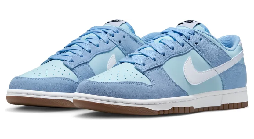 nike-dunk IB6399-400