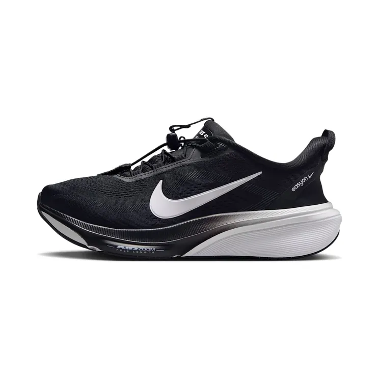 Nike Pegasus Black (IH1850-001)