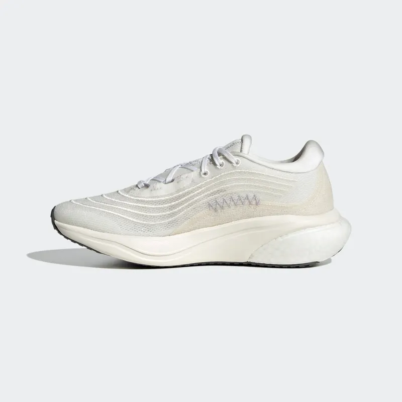 adidas Supernova 2.0 x Parley Non Dyed / Chalk White / Silver Dawn (HP2240)