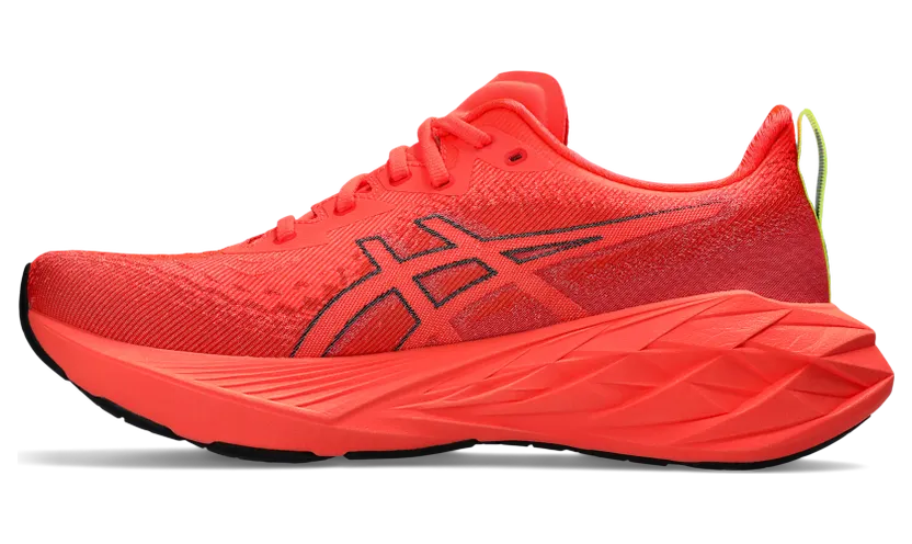 asics-novablast 1011B693.601
