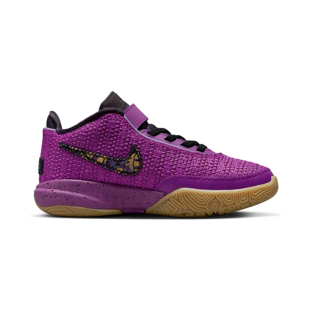 Nike LeBron 20 Purple (FD0208-500)