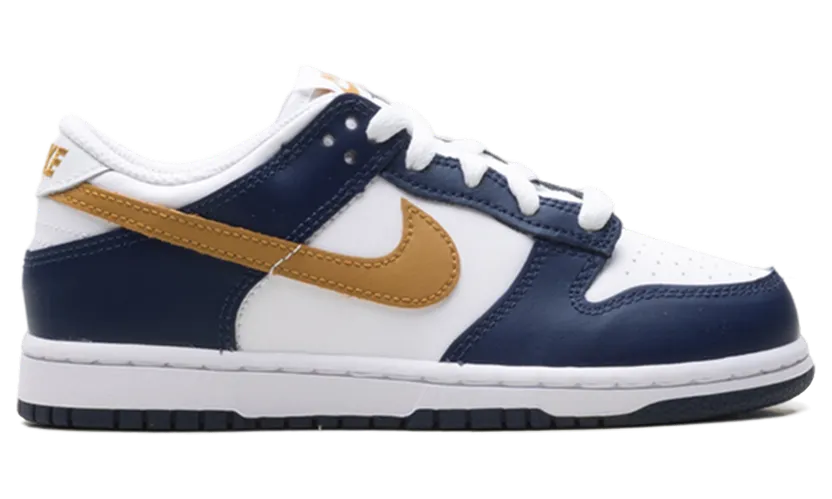 nike-dunk FB9108-111