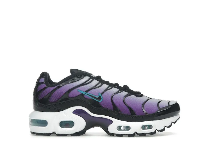 Nike Air Max Plus Reverse Grape (FQ2412-500)