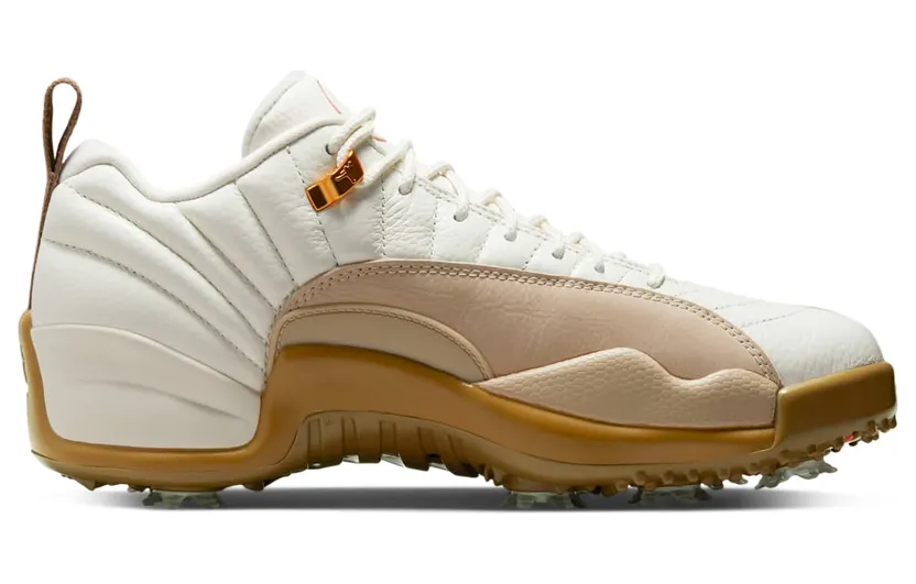 air-jordan-12 DM9016-109
