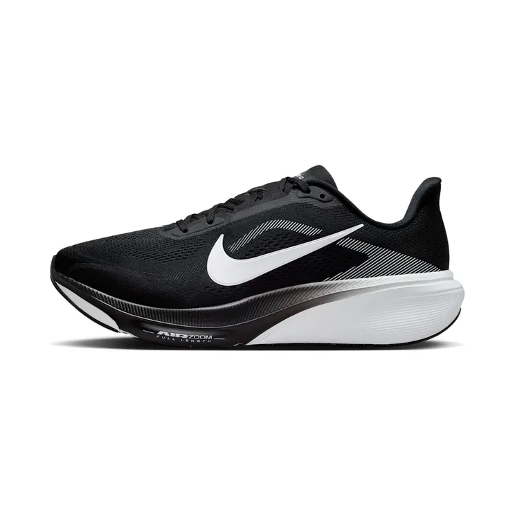 Nike Pegasus “Black / Photon Dust / White” (IR1228-001)