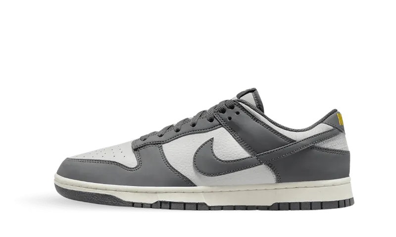 Nike Dunk Low Next Nature Iron Grey (FZ4621-001)