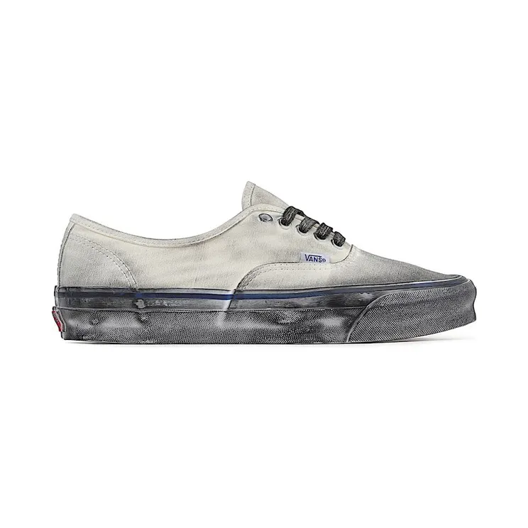 vans-authentic VN0A5FBD2VZ