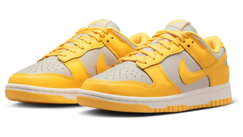 nike-dunk DD1503-002