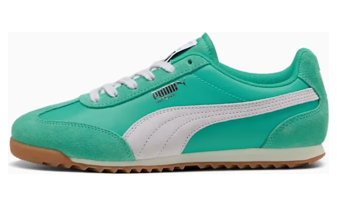 puma-arizona 39868230