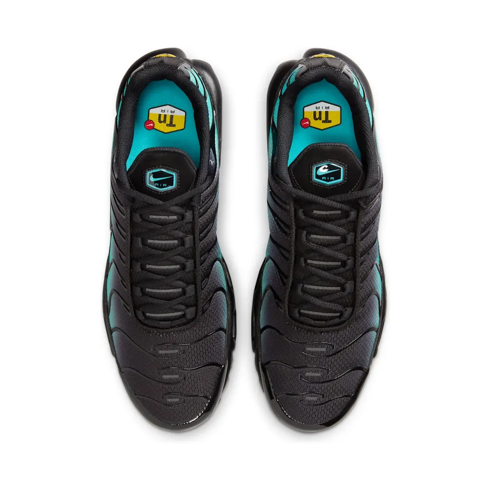 Nike Air Max Plus Black Dusty Cactus (DM0032-016)