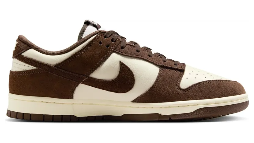 nike-dunk FQ8249-104